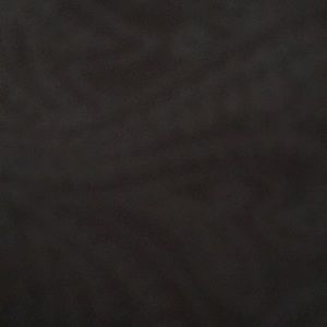 Meet your Posher, Tommy